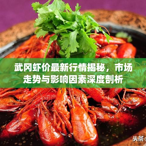 武冈虾价最新行情揭秘，市场走势与影响因素深度剖析