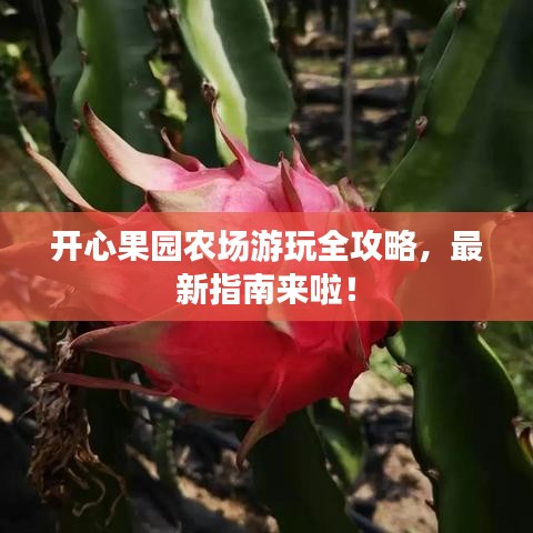 开心果园农场游玩全攻略,最新指南来啦!