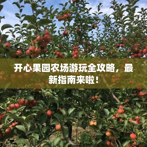 开心果园农场游玩全攻略,最新指南来啦!