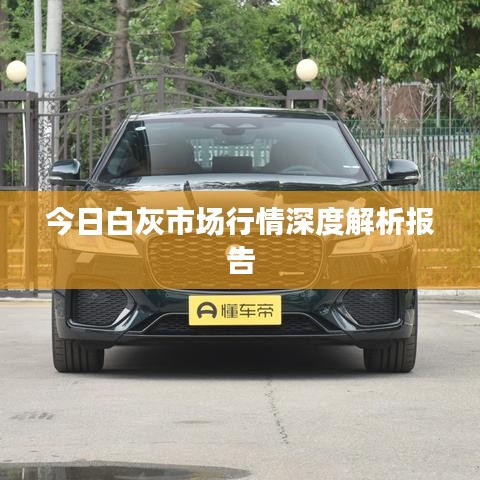 今日白灰市场行情深度解析报告
