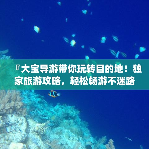 『大宝导游带你玩转目的地!独家旅游攻略,轻松畅游不迷路』