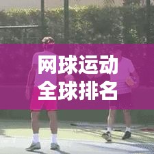 网球运动全球排名揭秘,探寻其在世界球类运动中的一席之地