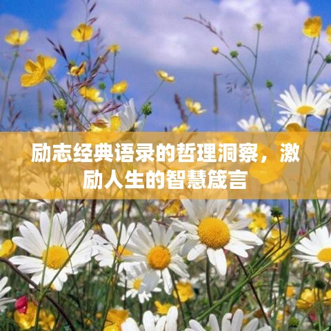 励志经典语录的哲理洞察,激励人生的智慧箴言
