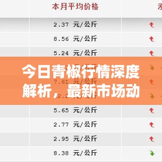 今日青椒行情深度解析,最新市场动态一网打尽!