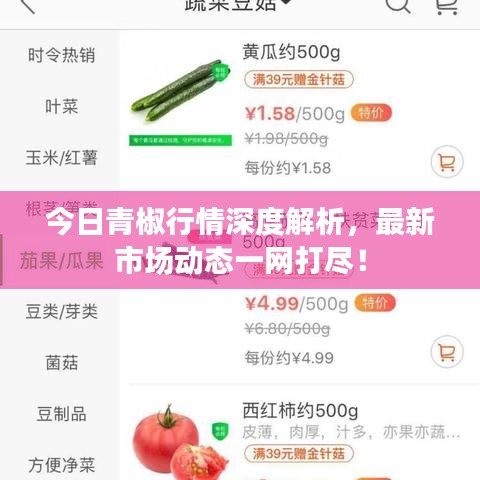今日青椒行情深度解析,最新市场动态一网打尽!