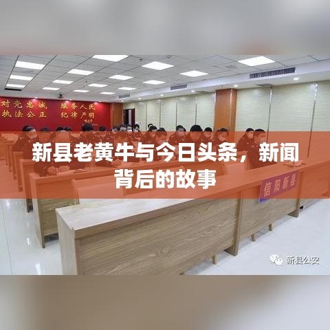 新县老黄牛与今日头条，新闻背后的故事