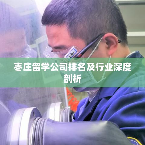 枣庄留学公司排名及行业深度剖析
