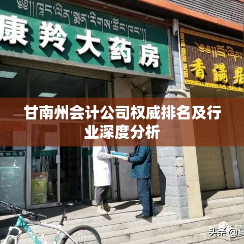 甘南州会计公司权威排名及行业深度分析