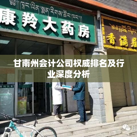 甘南州会计公司权威排名及行业深度分析
