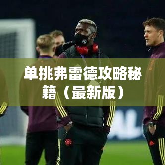 单挑弗雷德攻略秘籍(最新版)