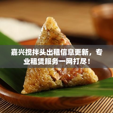 嘉兴搅拌头出租信息更新,专业租赁服务一网打尽!