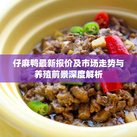 仔麻鸭最新报价及市场走势与养殖前景深度解析