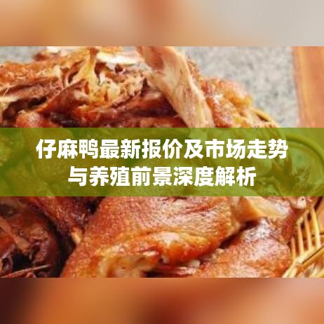 仔麻鸭最新报价及市场走势与养殖前景深度解析