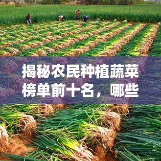 揭秘农民种植蔬菜榜单前十名,哪些蔬菜最受欢迎?