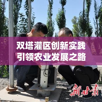 双塔灌区创新实践引领农业发展之路
