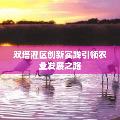 双塔灌区创新实践引领农业发展之路