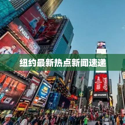 纽约最新热点新闻速递