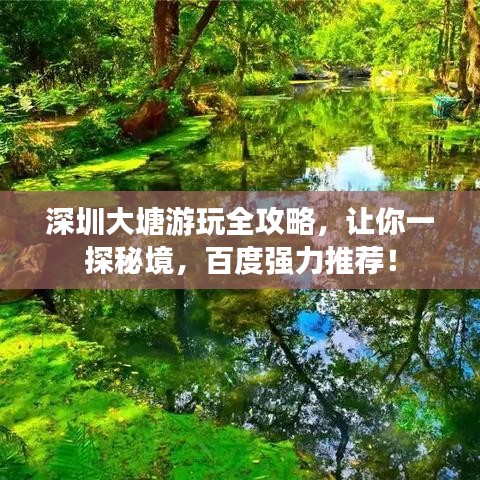 深圳大塘游玩全攻略,让你一探秘境,百度强力推荐!