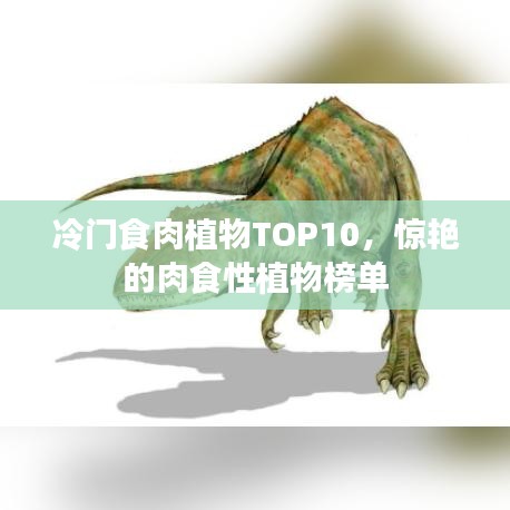 冷门食肉植物TOP10,惊艳的肉食性植物榜单