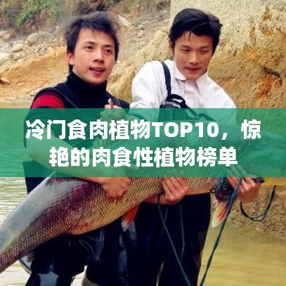 冷门食肉植物TOP10,惊艳的肉食性植物榜单
