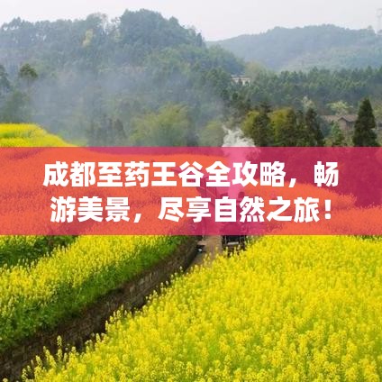 成都至药王谷全攻略,畅游美景,尽享自然之旅!