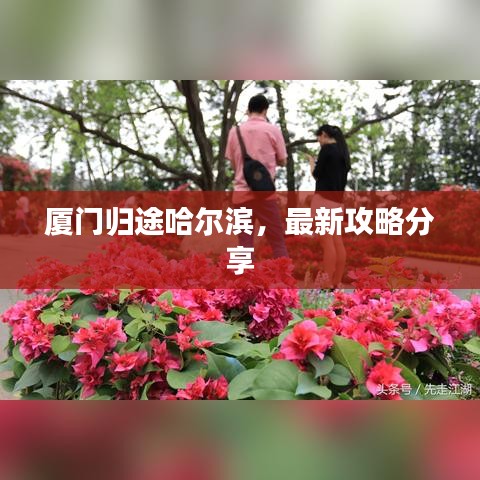 厦门归途哈尔滨,最新攻略分享