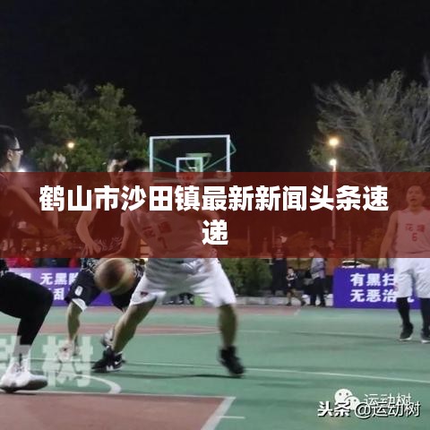 鹤山市沙田镇最新新闻头条速递