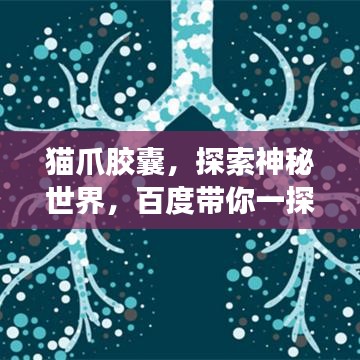 猫爪胶囊,探索神秘世界,百度带你一探究竟!