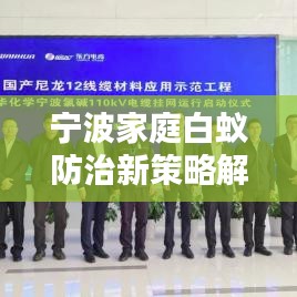 宁波家庭白蚁防治新策略解析