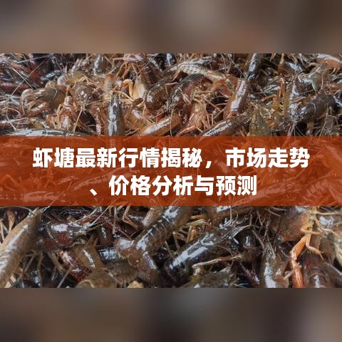 云屯鸟散 第3页