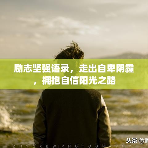 励志坚强语录,走出自卑阴霾,拥抱自信阳光之路