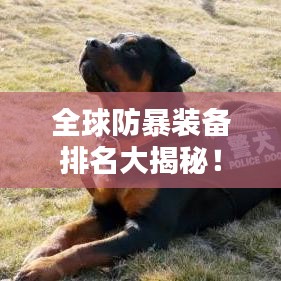全球防暴装备排名大揭秘!