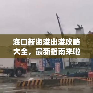 海口新海港出港攻略大全,最新指南来啦!