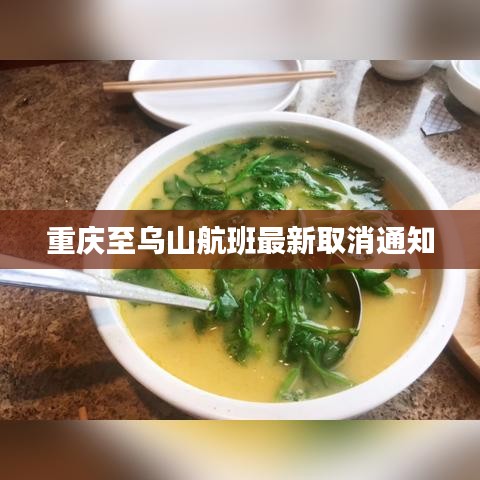 重庆至乌山航班最新取消通知