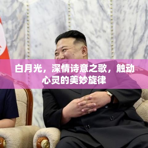 白月光,深情诗意之歌,触动心灵的美妙旋律