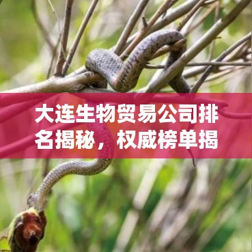 大连生物贸易公司排名揭秘,权威榜单揭晓,这些企业独占鳌头!