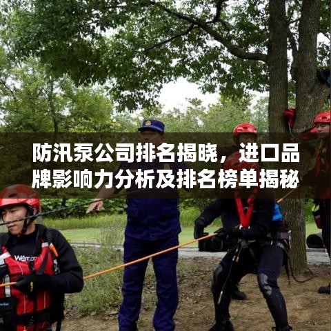 防汛泵公司排名揭晓，进口品牌影响力分析及排名榜单揭秘