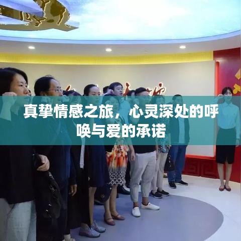 真挚情感之旅,心灵深处的呼唤与爱的承诺