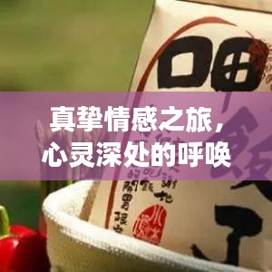 真挚情感之旅,心灵深处的呼唤与爱的承诺