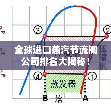 全球进口蒸汽节流阀公司排名大揭秘!