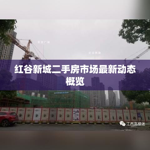 红谷新城二手房市场最新动态概览