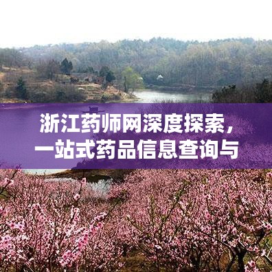 浙江药师网深度探索，一站式药品信息查询与服务体验