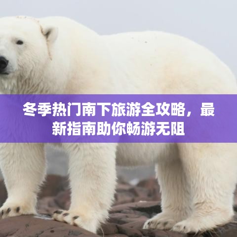 冬季热门南下旅游全攻略,最新指南助你畅游无阻