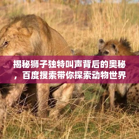 勤学苦练 第3页