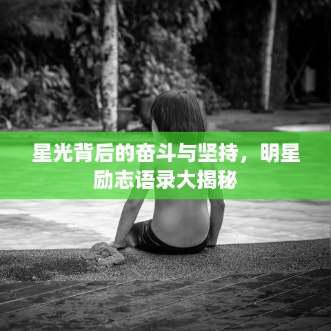 星光背后的奋斗与坚持,明星励志语录大揭秘