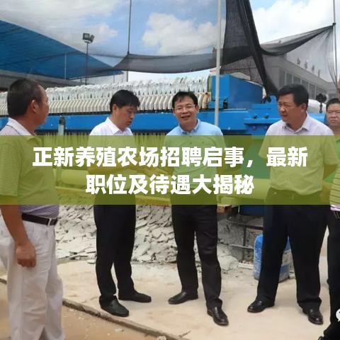 正新养殖农场招聘启事，最新职位及待遇大揭秘