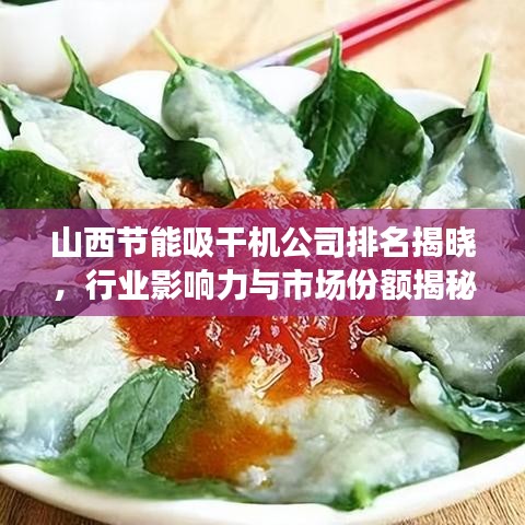 山西节能吸干机公司排名揭晓，行业影响力与市场份额揭秘