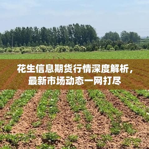 十年磨剑 第3页