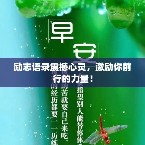 励志语录震撼心灵,激励你前行的力量!