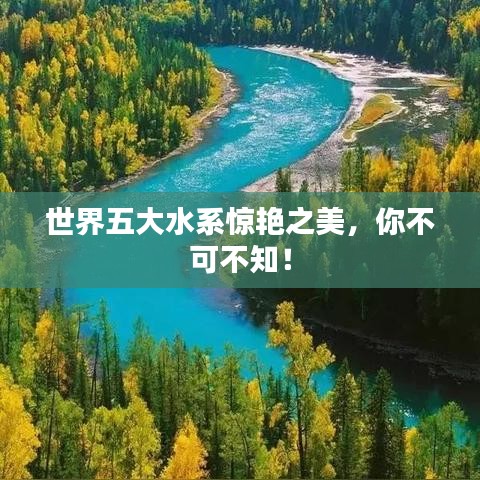 夯雀儿先飞 第3页